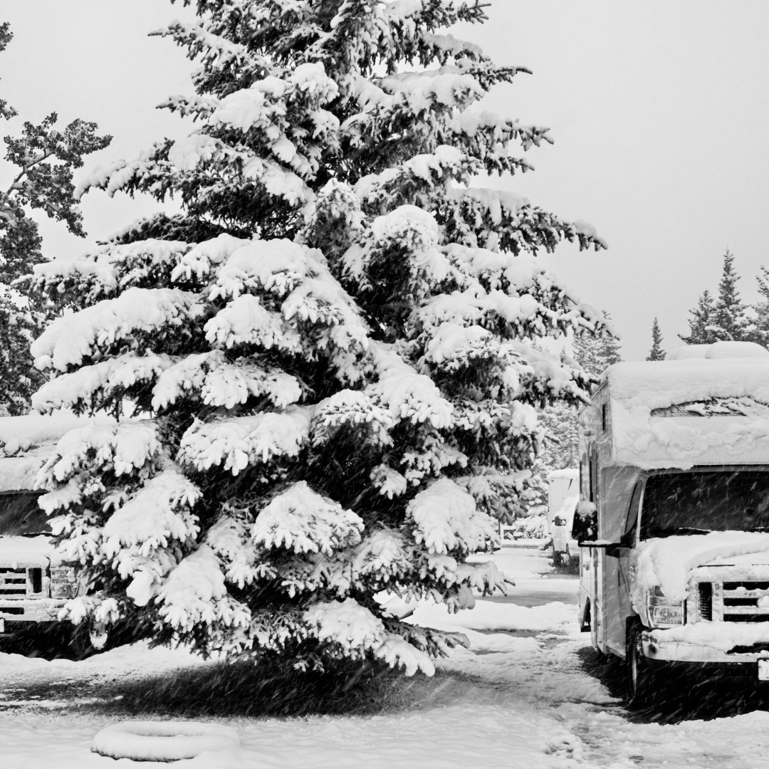 myKINGproduct's tweet photo. It's that time of year ❄️Looking for Connectivity solutions for your winter adventures? Check out our lineup at https://t.co/x1d4Twoolr. https://t.co/ed93E4wDYV
