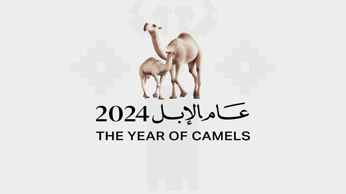 HanthlPro's tweet photo. #الإبل

عام 2024 سُمّي بـ #عام_الإبل

وهذه التسمية لم تكن من الفراغ، فالإبل كان رفيق العربي القديم في حلّه وترحاله.. ولا يزال العربي المعاصر يعشق الإبل ويعتزّ به 

النّاقة في نظر العربي القديم كانت المنقذ له من وحشة الصحراء، والقادرة على تحمل الصعاب وتذليل العقبات، فقد انتشلت الشّاعر الجاهلي من همومه وأحزانه كما قال طرفة

"وإني لأمضي الهمّ عند احتضاره.. بعوجاء مرقال تروح وتغتدي"

والعوجاء هي الإبل الضّامرة
