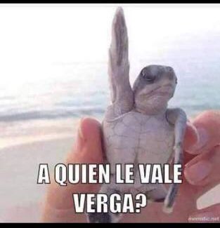 ruizivan007's tweet photo. @Jcchavez115 Y mucha !!! https://t.co/AiN4vj2aqq