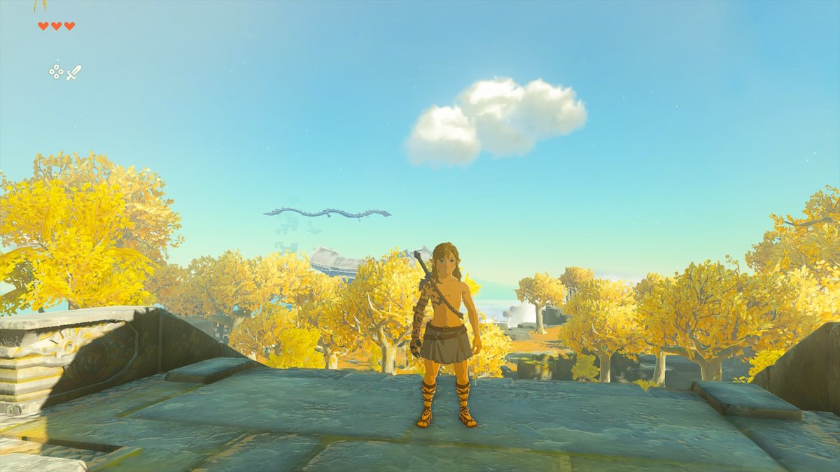 csabesz221's tweet photo. #TearsOfTheKingdom #Zelda #NintendoSwitch https://t.co/nFKkqglTMO