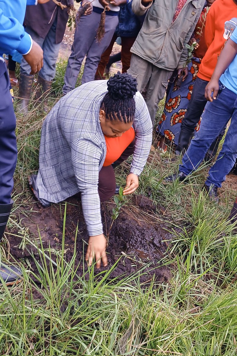 njombeclimate's tweet photo. In partnership with Njombe DC, Yesterday we had a Regional Launch of the tree planting campaign, held at the Ninga Village's water source 💦. Thanks to @TFSAgency for providing seedlings free of charge. Time to act! ☘️🌿#NjombeClimate #ClimateActionNjombe https://t.co/Hgq6Arki1p