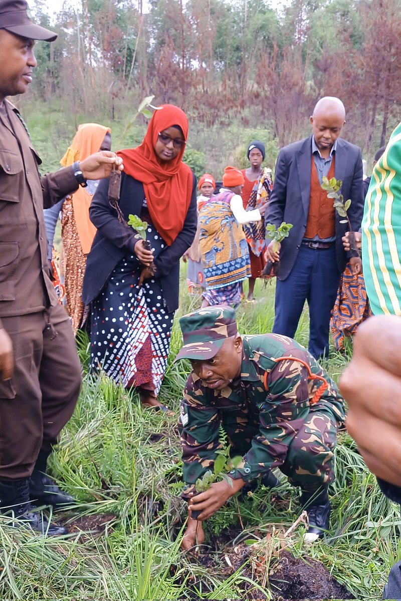 njombeclimate's tweet photo. In partnership with Njombe DC, Yesterday we had a Regional Launch of the tree planting campaign, held at the Ninga Village's water source 💦. Thanks to @TFSAgency for providing seedlings free of charge. Time to act! ☘️🌿#NjombeClimate #ClimateActionNjombe https://t.co/Hgq6Arki1p