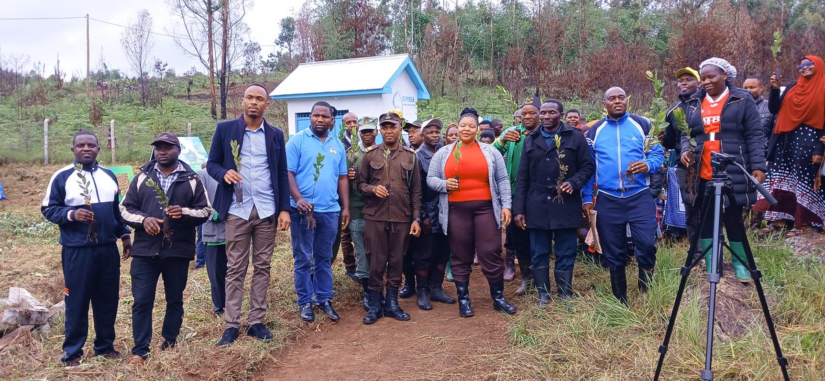 njombeclimate's tweet photo. In partnership with Njombe DC, Yesterday we had a Regional Launch of the tree planting campaign, held at the Ninga Village's water source 💦. Thanks to @TFSAgency for providing seedlings free of charge. Time to act! ☘️🌿#NjombeClimate #ClimateActionNjombe https://t.co/Hgq6Arki1p