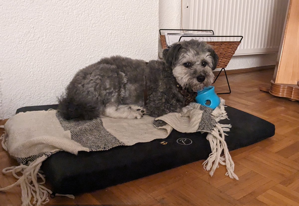 Endlich ist mein Liegeplatz wieder da, wo er hingehört. Die hatten da einfach einen Baum hingestellt. 🤨