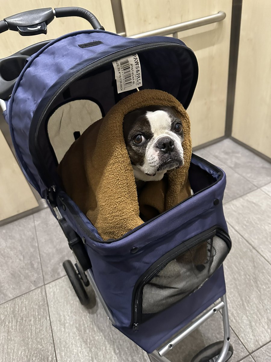 kraytrain🛡️ tweet media