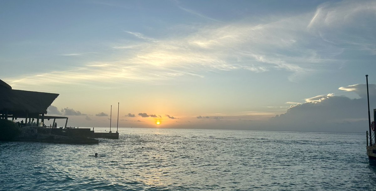 maule_rob's tweet photo. Last day on Cozumel island before heading down the Yucatan to Tulum. What a fantastic place and lovely people 🇲🇽 https://t.co/3APNx1EToT