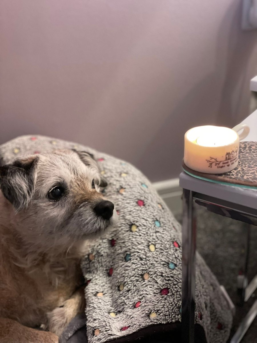 no1border's tweet image. #forhamish lit a candle fur our good pal hamish. Run free buddy