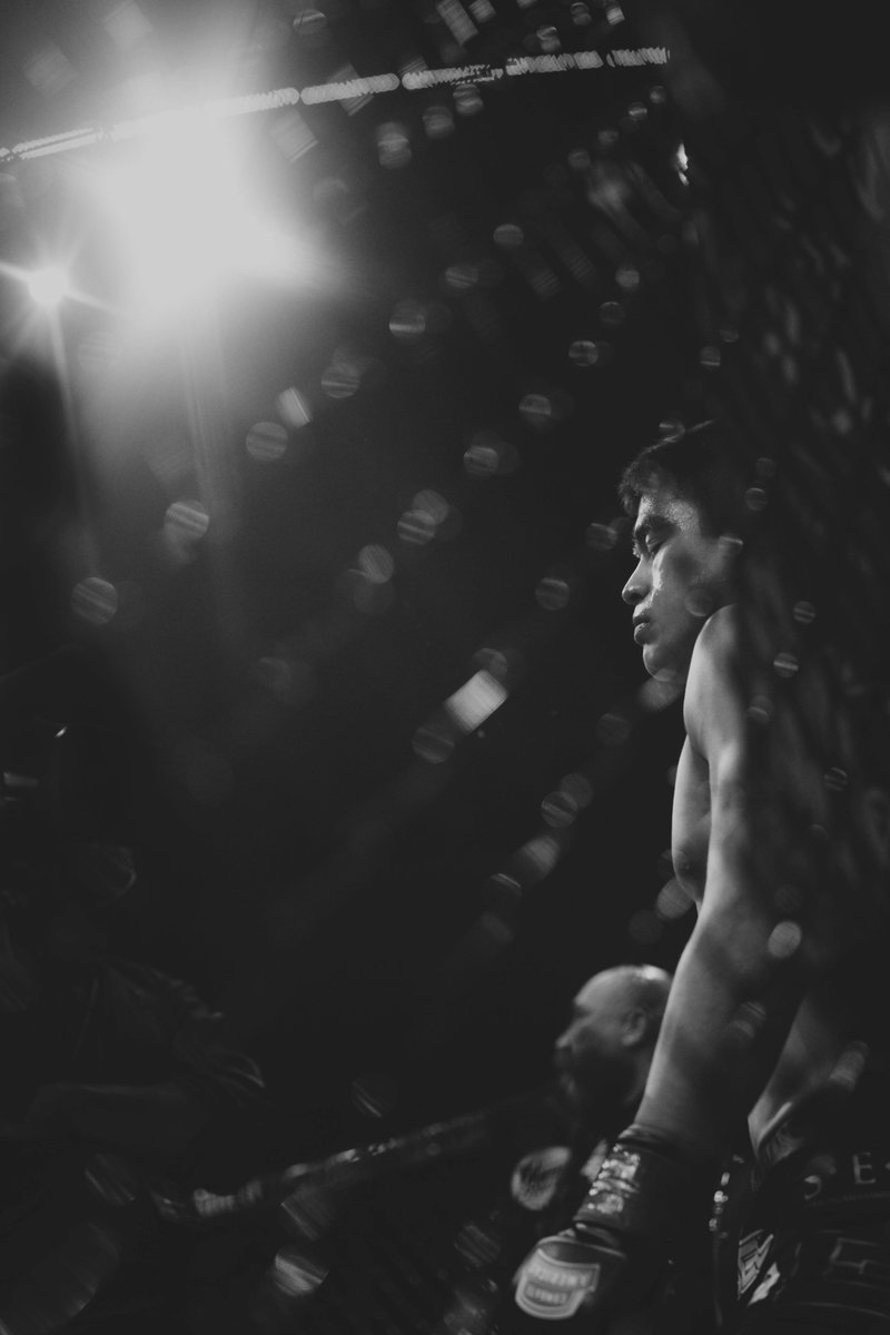 Amy Kaplan tweet media