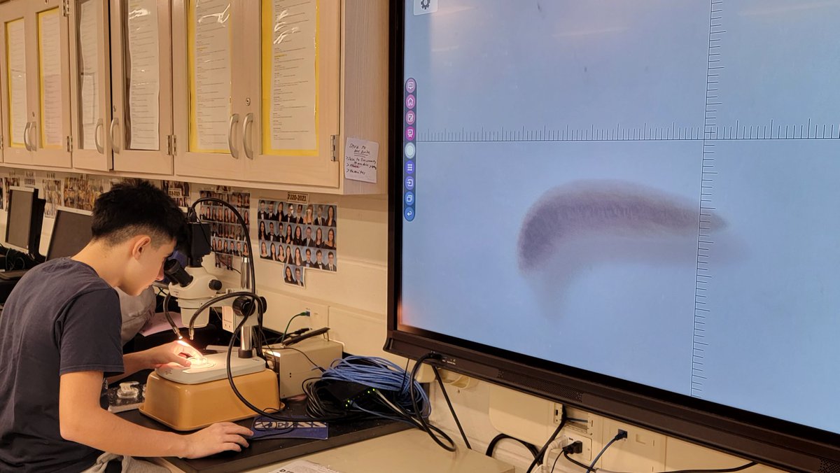 Jeanette Collette tweet media