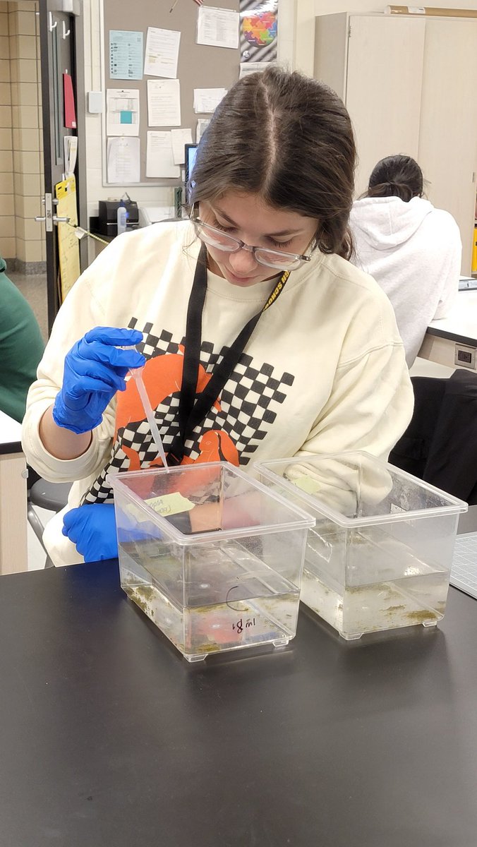 Jeanette Collette tweet media