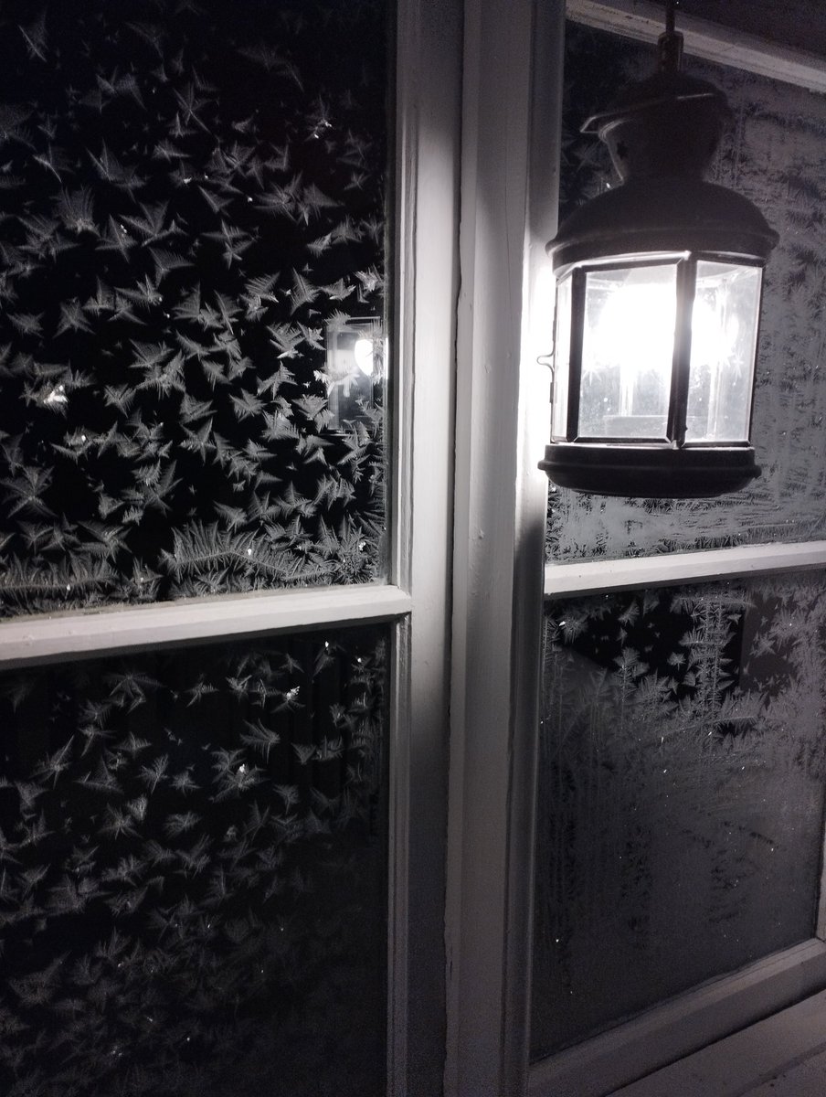 Sofiahillevi's tweet photo. Frostrosor på insidan fönstret. Förra veckan, då det var -32, satt jag strandad i huset i tre dagar, bilen startade inte, vattnet hade frusit i ledningen, det var fem grader i köket om morgnarna. Stod och tittade på fönstret en kväll och tänkte världen är mystisk och vacker. https://t.co/zhfhJlNKHU