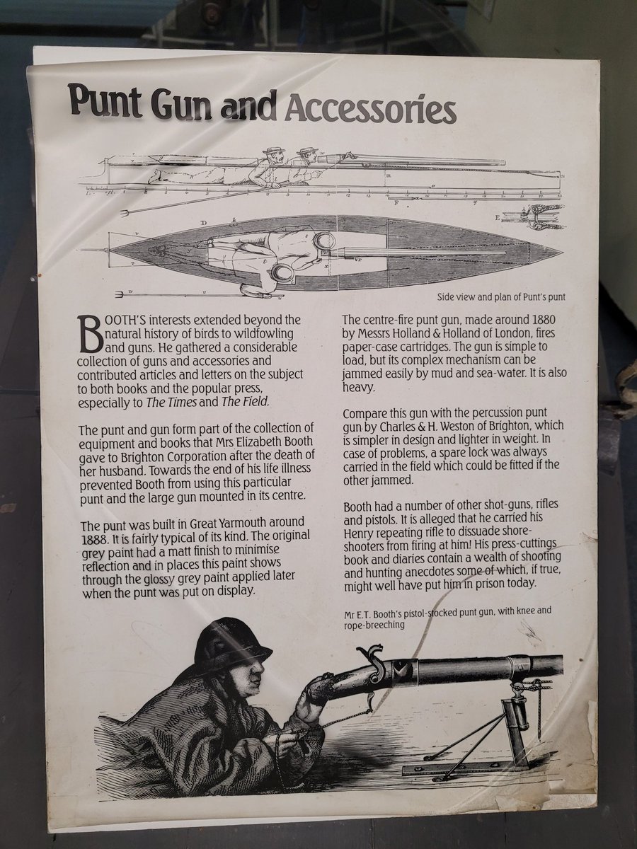 BtnHoveAS's tweet photo. Had the pleasure of a brief visit to the Booth (natural history) Museum today. As well as a great collection of historical taxidermy & skeletons, they also have this rather unique weapon... the Punt Gun! Free Entry, too π
@BrightonMuseums #boothmuseum #taxidermy #naturalhistory https://t.co/QBZ0HL6l1g