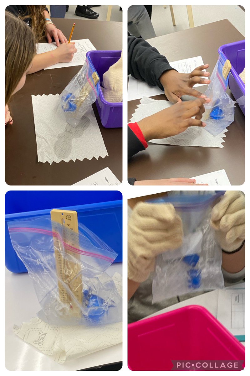Fun day in science lab learning about endothermic reactions by making ice cream 🍨🍦<a href="/mrsgrasso_robms/">Mrs. Grasso</a> <a href="/BrackmanScience/">Mrs. P</a> #barnegatinspires