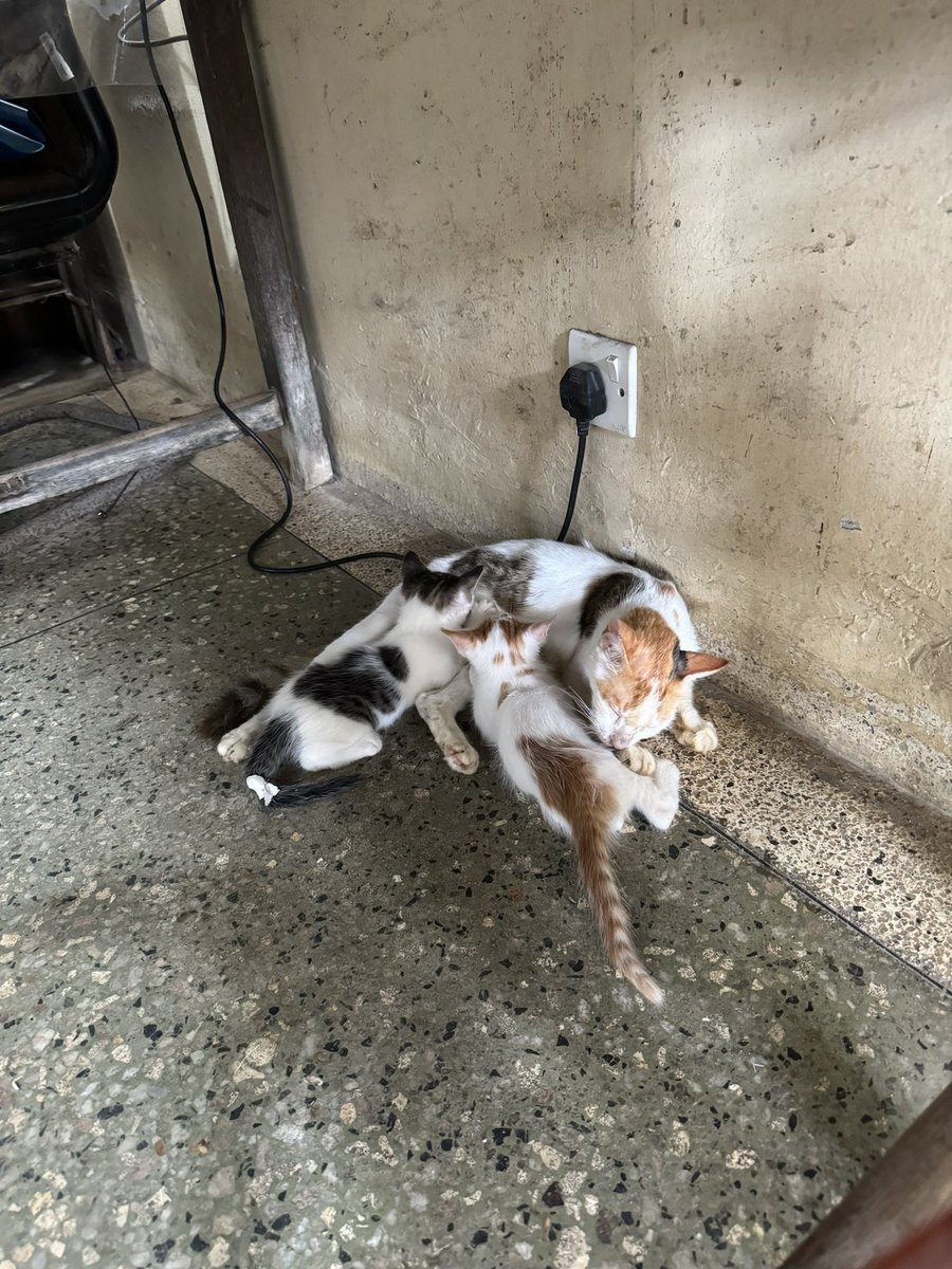 Today was my first day on placement on the gynae ward in Mnazi Mmoja hospital in Zanzibar. Safe to say it was a real eye opener! I can only imagine what the next 4 weeks here has to offer and i’m extremely excited for it all! #K4C #studentnurse #internationalplacement #Zanzibar