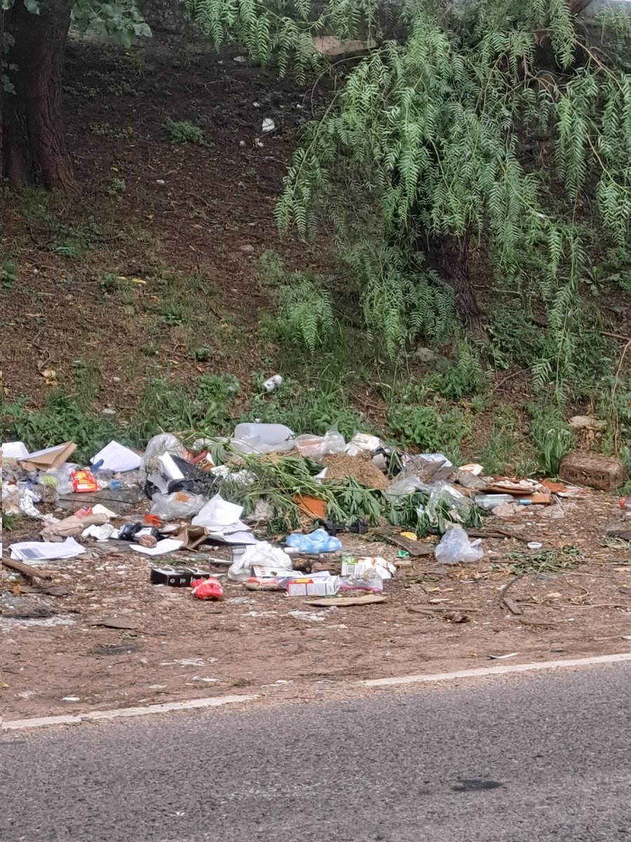 Gabriela Zallocco tweet media