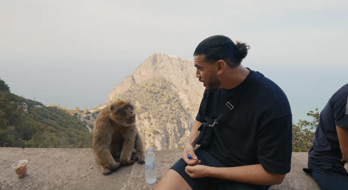PrinceDeBelAiir's tweet photo. Le singe qui imite amine dans sa vidéo MDRRRRR https://t.co/rwNfVJrEY9