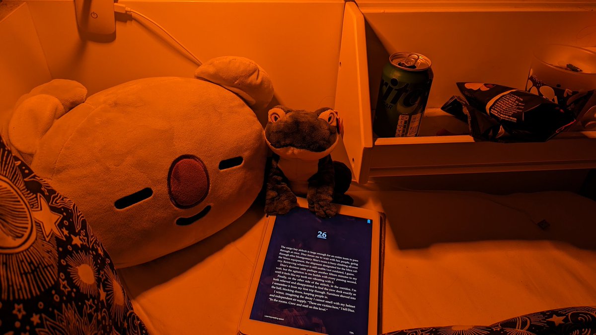 cosy nighttime reading nook to finish off my second book of 2024