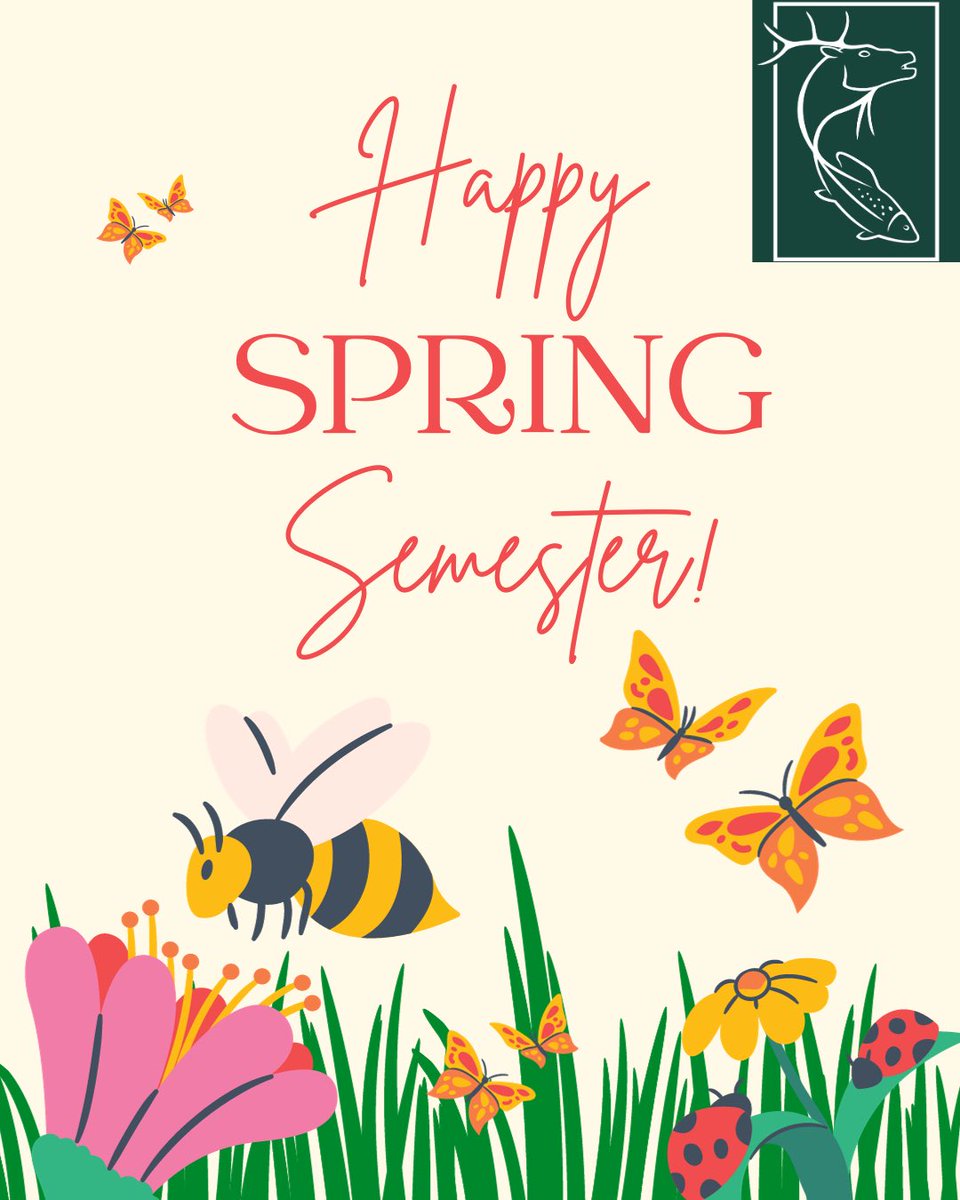 MSU FW Club tweet media