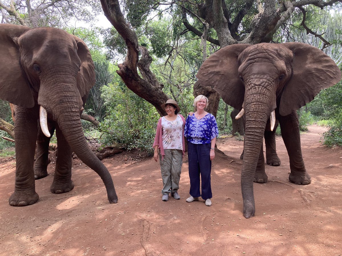 What a day, spent with rescued elephants - absolutely stunning creatures and a joy to see the trust between them and their carers. A true delight to learn about them, feed them and walk with them ❤️