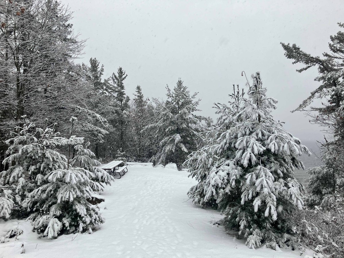 Finally a bit of ❄! Unfortunately we are scheduled to get rain later tonight, so it's too early to tell what the conditions will be like for the weekend, but we're hopeful! Stay tuned and check ontarioparks.com/snowreport/ for conditions.