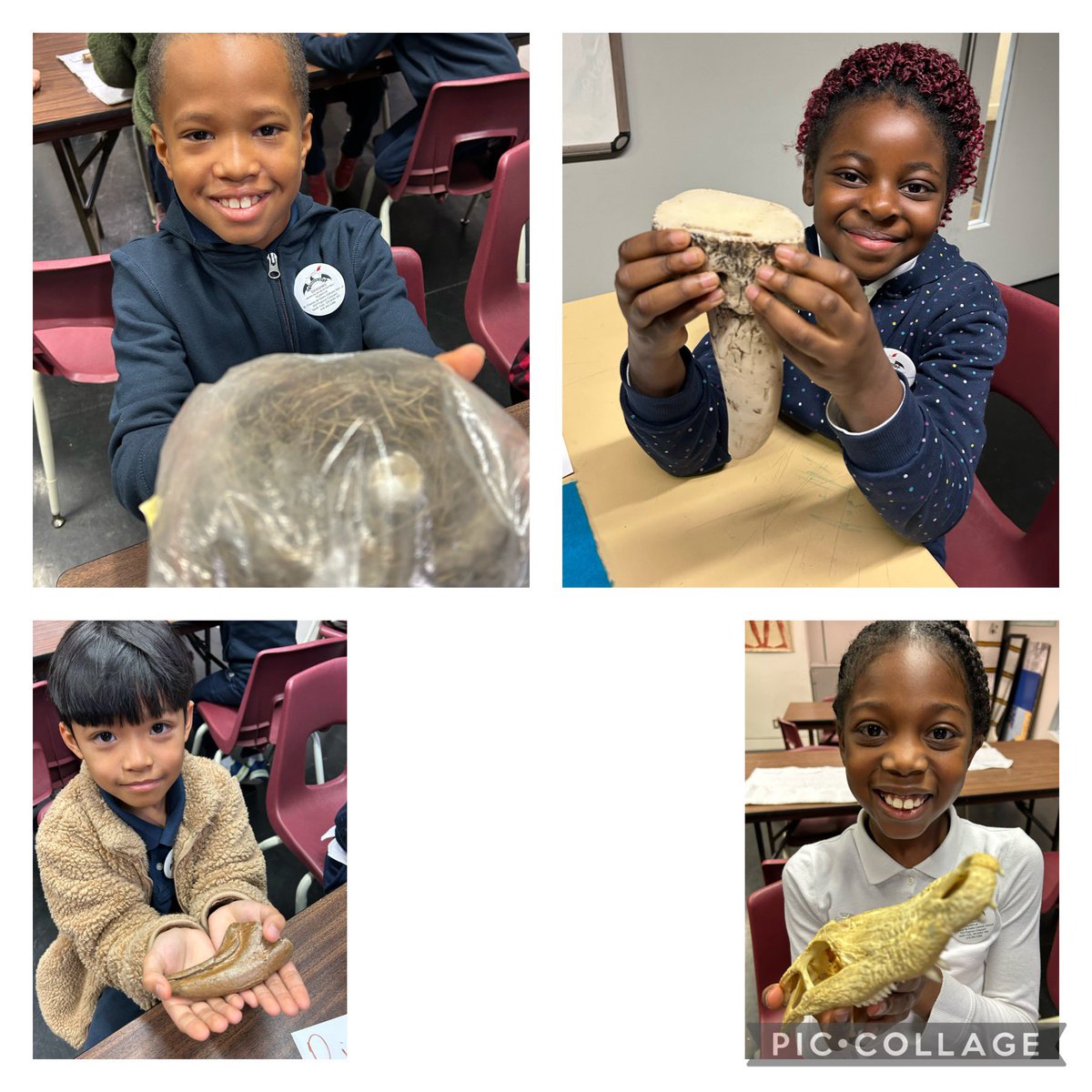 Annamaria Squillace tweet media