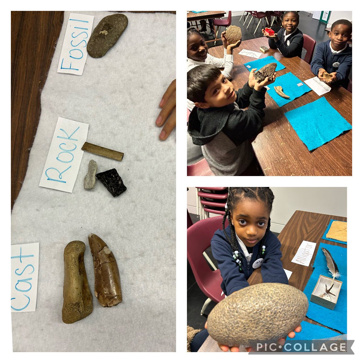 Annamaria Squillace tweet media