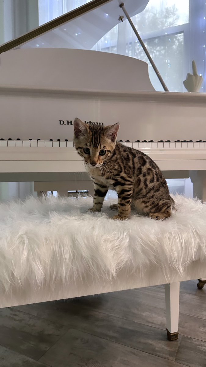 LIV Morgan tweet media