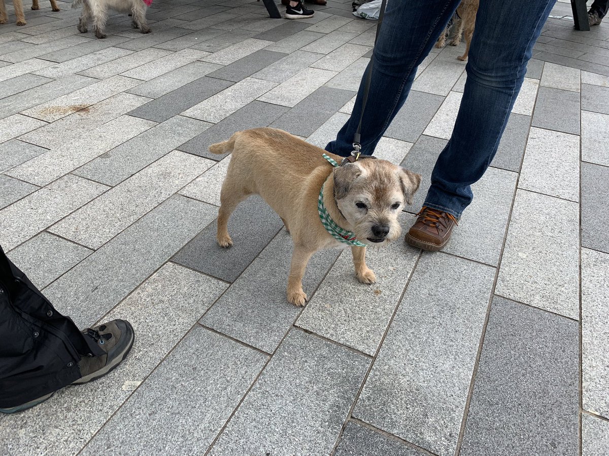 We had some great tweet ups buddy run free 🌈 #forHamish