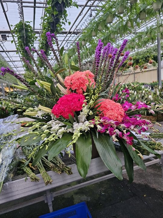 ROMAFLORIST's tweet image. 