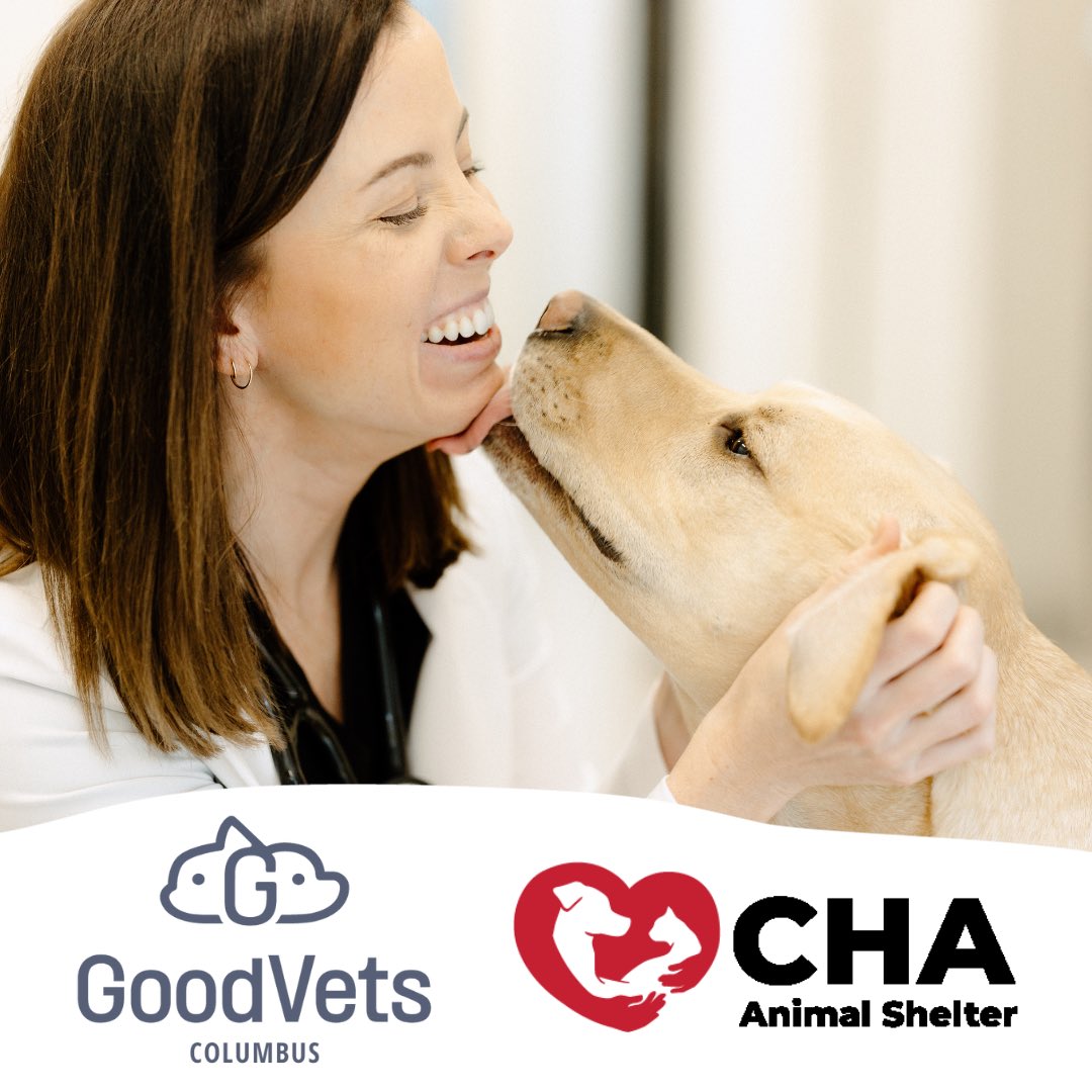 CHAAnimals's tweet photo. We are excited to announce our new Corporate Sponsor, GoodVets - Polaris!
GoodVets is located on Polaris Parkway and has a location opening soon in New Albany.
Welcome to the CHA community!
#chaanimalshelter #kindcommunity https://t.co/zIwVr79k3l