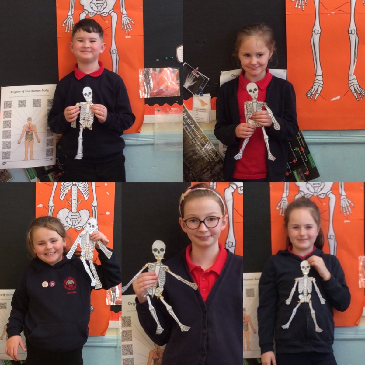 Dosbarth Teifi URPS tweet media