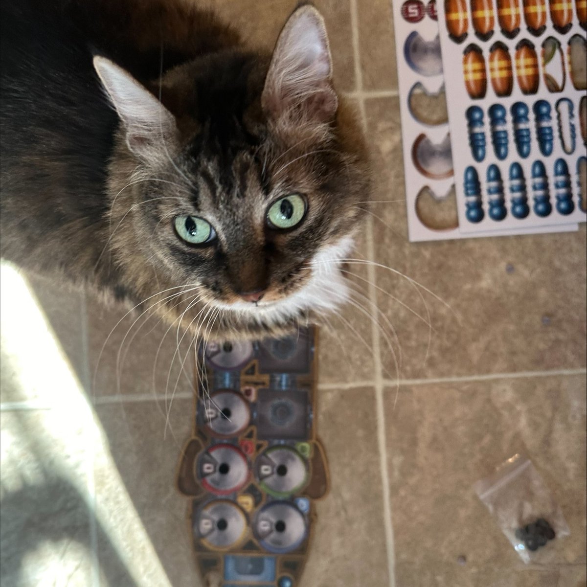 settlersofcatan's tweet image. CATAN – Starfarers Duel will launch February 2nd! 🚀

We cannot wait for you to try the epic two player title! 👩‍🚀 bit.ly/3ZpgV2r 🧑‍🚀

📸 Feat. Bruce photobombing our shoot 😂🐈 #catan #settlersofcatan #starfarers #twoplayer #scifi