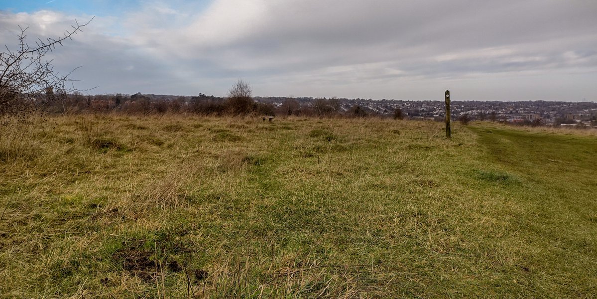 HeritageClsdn's tweet photo. #Anthills on the north-west side of #FarthingDowns, near the #LondonLoop for #WildlifeWednesday. #YellowMeadowAnts build soil domes above their nests to help regulate temperature and humidity, which are easy to spot in winter as the grass is short and the sun is low in the sky. https://t.co/V4n98pMkTX