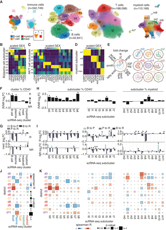 Single-cell and spatial profiling identify three response trajectories to pembrolizumab and radiation therapy in triple negative breast cancer dlvr.it/T19FLH