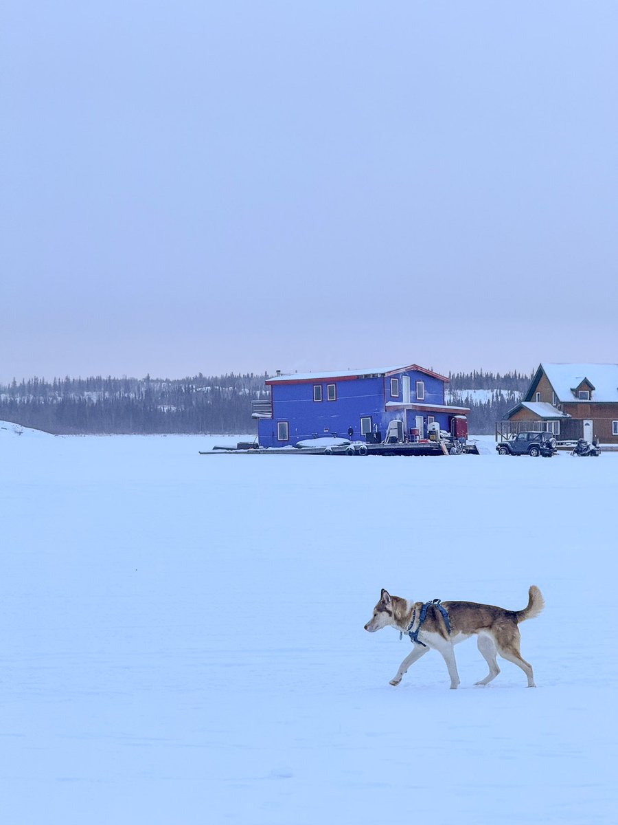 -45°C in Yellowknife… this is what we call “Arctic mascara”. #LifeUpNorth