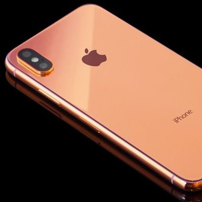 Magrebia tweet media