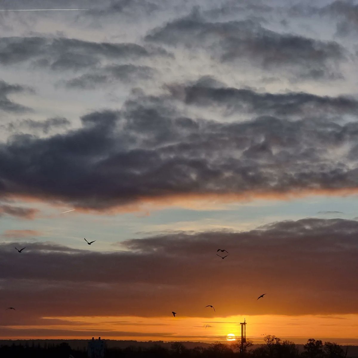 RiskITWeek's tweet image. #photography #maroc #nature #uk