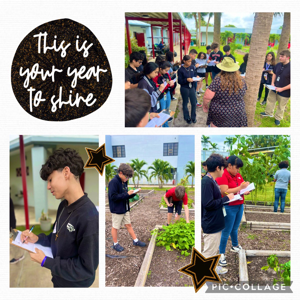 Driftwood Middle School tweet media