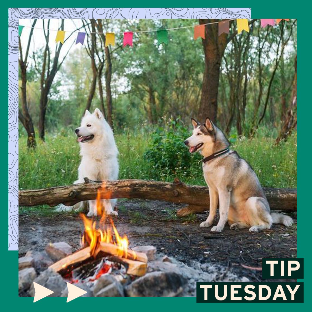 If you're planning a camping trip this year with your pet(s), it's important to be prepared in case of an emergency. Check out these tips from Bring Fido: gorving.com/tips-inspirati… #TipTuesday #GORVING #RV #Pets #Dogs #Cats #PetSafety