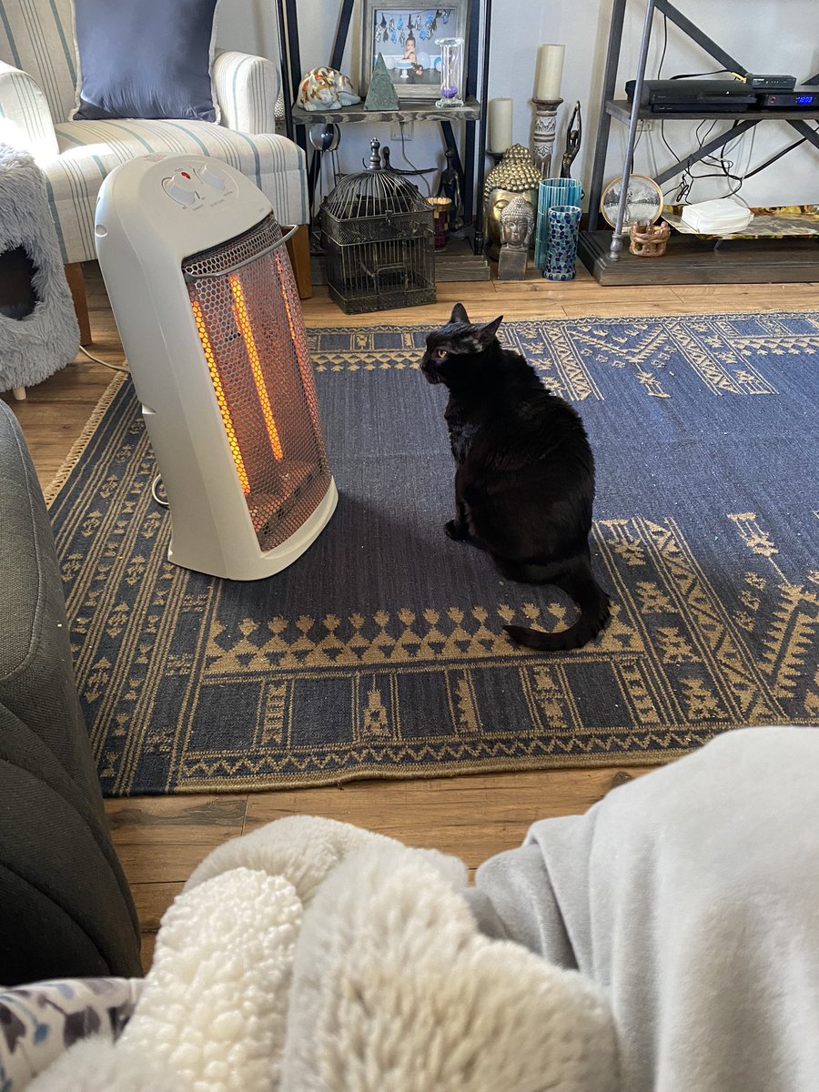 Robin2020Rockin's tweet photo. Still waiting for service guys so I’m just infront of my lovely heater friends 🥶🥶🥶😹😹🐈⬛#ItsColdHere #StayWarm #CatsOnX #DogsOfX #AdoptDontShop #BeKind #PrayForPeace #AnimalLovers we be cold mom and I 🐈⬛♥️♥️ https://t.co/eTmr8fdLGT