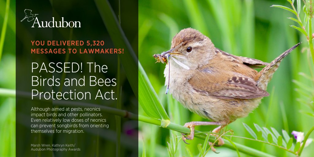 In case you missed it, the Birds and Bees Protection Act was passed by @GovKathyHochul just before the new year! Thanks to our flock for delivering 5,320 messages in support of this law.