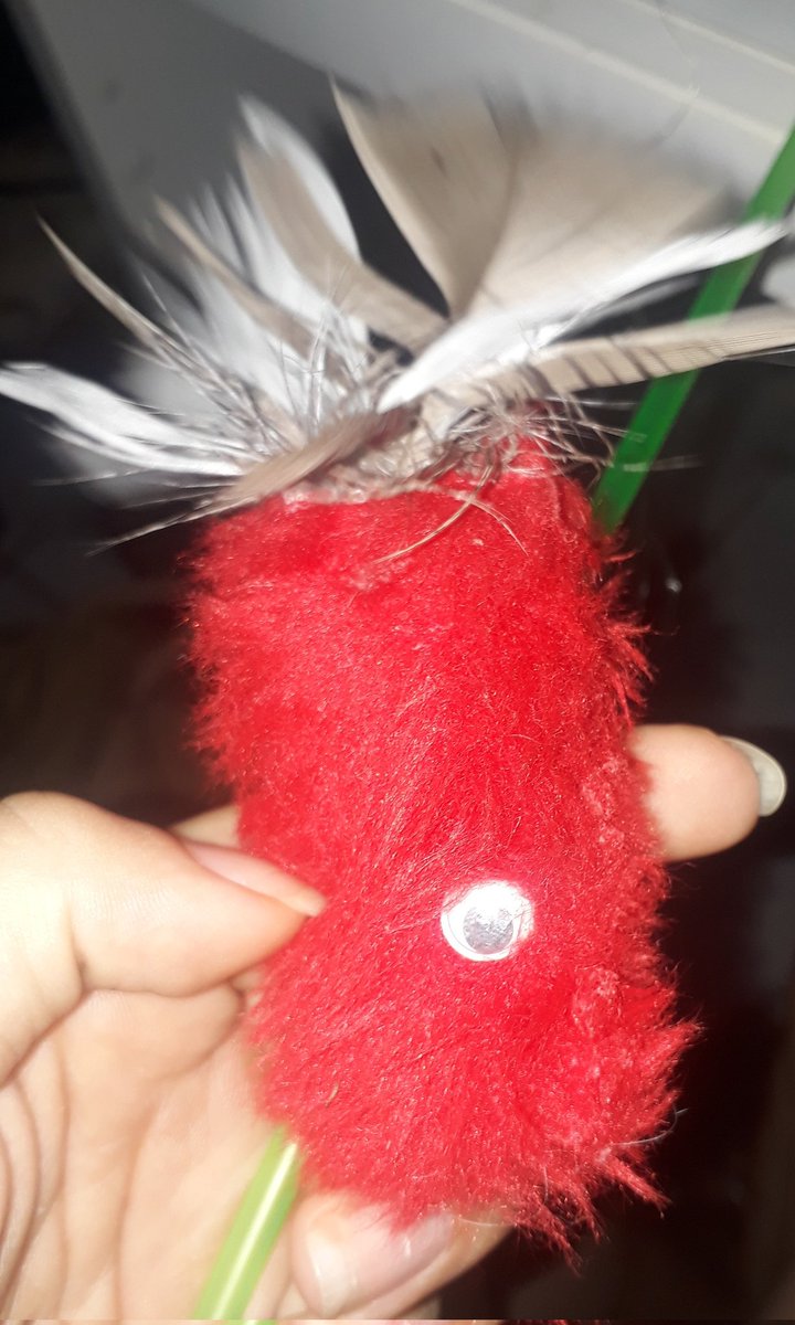 ddarknesstar's tweet photo. esse troço transformou meu bebê em um bárbaro https://t.co/celaXxXYMk