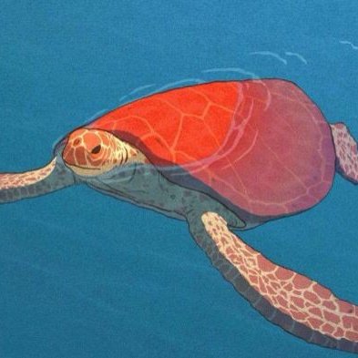 bylosza's tweet photo. 𖤐A tartaruga vermelha {2016}
{The red turtle} 🐢

https://t.co/dWmkXkqtlA https://t.co/yLOJtY0rWf