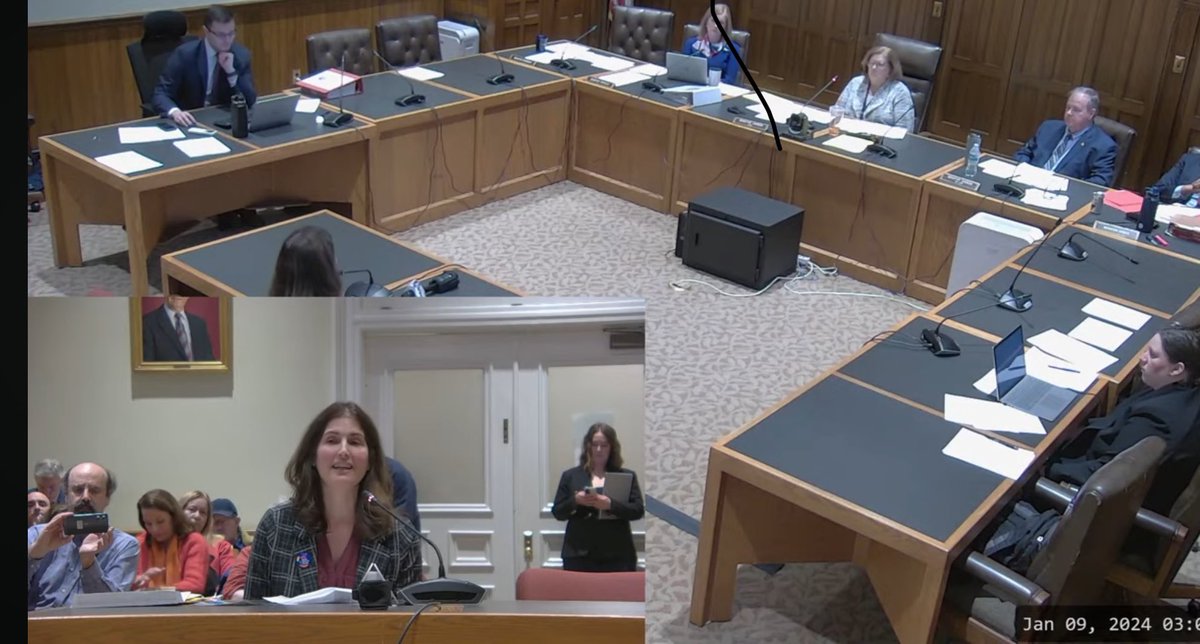1/Powerful NH Senate testimony on the proposed 3-day waiting period bill (SB577) from Donna Morin, whose son took his own life with a firearm in 2022.