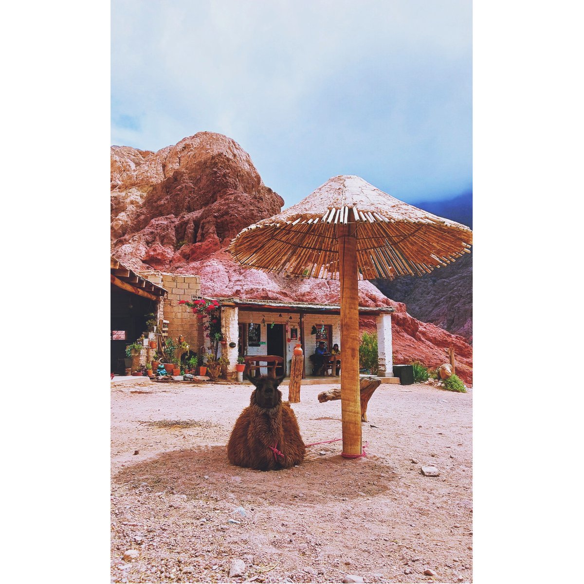 MelfPhotography's tweet photo. 📍Salta, Argentina #Photography #Fotografía #Argentina #Travel #Explore https://t.co/7QHFEktJke