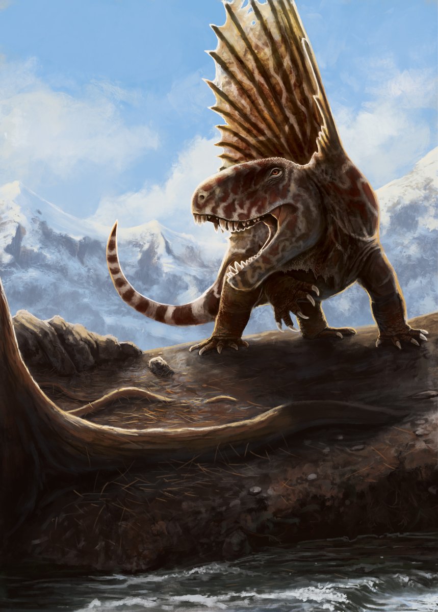 TheWoodParable's tweet photo. As it does every time, #PortfolioDay has snuck up on me. I'm Jack, I paint dinosaurs, beasties, characters, fantasy scenes, and whatever else takes my fancy. If you're looking to commission dirt poor early career artists then feel free to get in touch by email or dm! https://t.co/XslOoNUFXE