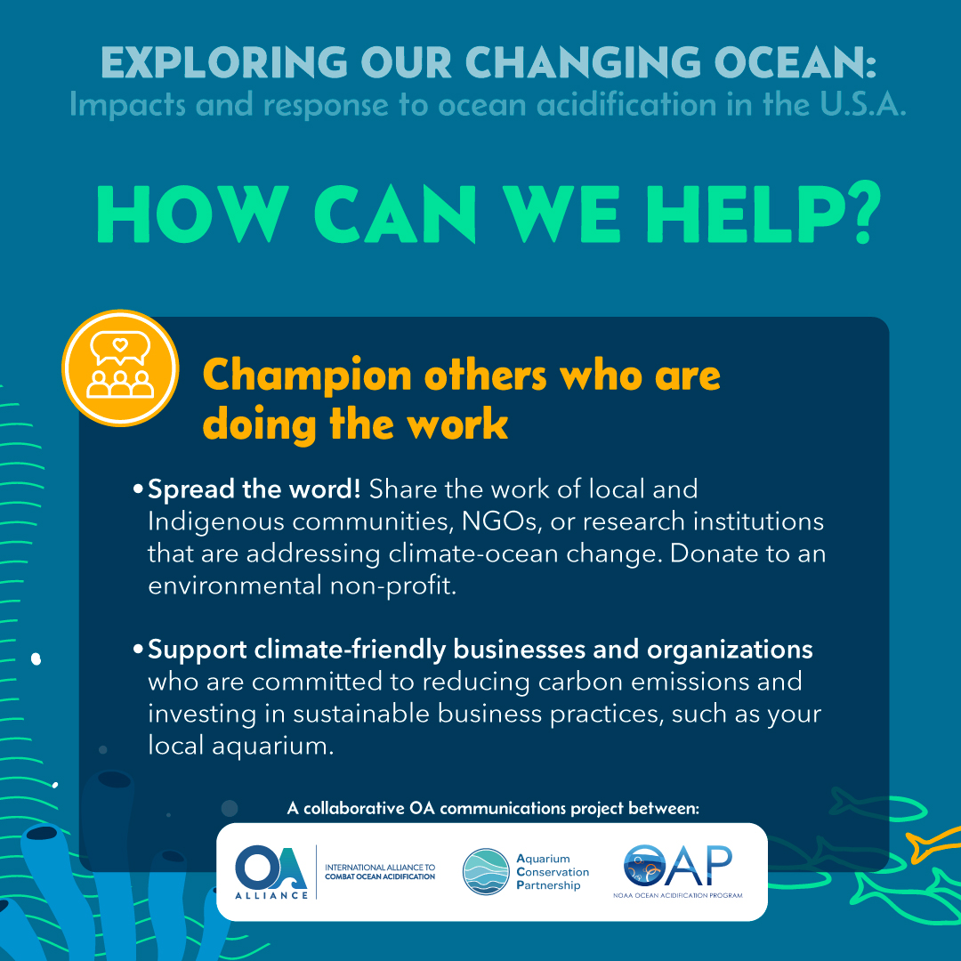 OA_NOAA's tweet image. For #TeachingTuesday, check out these awesome new StoryMaps created in partnership with @OA_Alliance @AquariumConser1 focused different regions of the US 🐠

Learn about actions you can take to mitigate #OceanAcidification impacts!

Visit the website: 
tinyurl.com/5n8u8szy