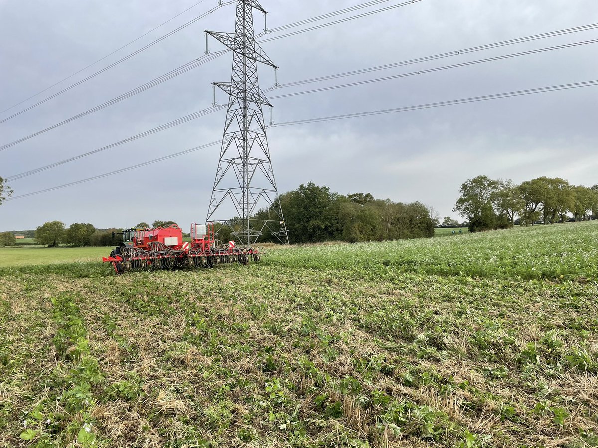 Toby Simpson (@tjcsimpson) on Twitter photo <a href="/SpudSlingsby/">Andrew Wilson</a> <a href="/SouthFrodfarmer/">Jonathan Hodgson 🇬🇧🇺🇦🐑+💩+🪱= 🌱🌾</a> Took a punt and went direct <a href="/DaleDrills/">Dale Drills</a>
handled the biomass well. We drilled the catch crop with the same drill on 12.5cm rows and then the wheat on 25cm.
Hopefully some good home grown N <a href="/SpudSlingsby/">Andrew Wilson</a> <a href="/SouthFrodfarmer/">Jonathan Hodgson 🇬🇧🇺🇦🐑+💩+🪱= 🌱🌾</a> Took a punt and went direct <a href="/DaleDrills/">Dale Drills</a>
handled the biomass well. We drilled the catch crop with the same drill on 12.5cm rows and then the wheat on 25cm.
Hopefully some good home grown N