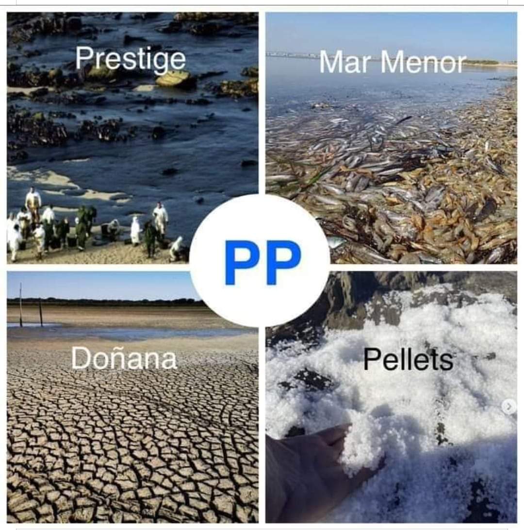 La gestión de la Organización Pepera....mu bien explicada.... así gobiernan... ellos son la mayor plaga de este país.... está es la verdad... que no te cuenten historias...seguid votandolos... estamos hartos de tantas mentiras..muy hartos..