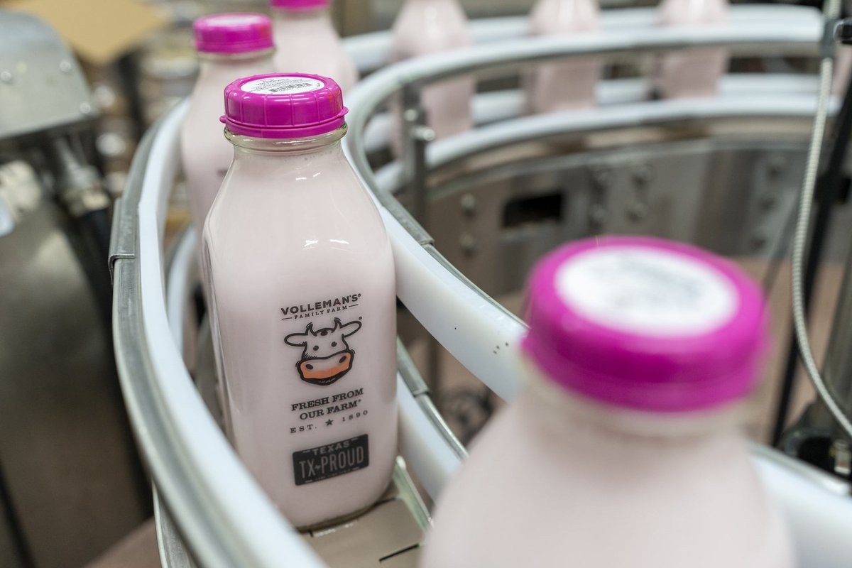 TAMU's tweet photo. Who needs some milk for their cookies? 🥛

Five members of the Volleman family, all graduates of @aglifesciences, are carrying on a 30-year legacy of managing the Volleman Farms' dairy farm and bottling plant! 

🐄 https://t.co/O1wbrQkaA6 https://t.co/gFkRwFAsgD